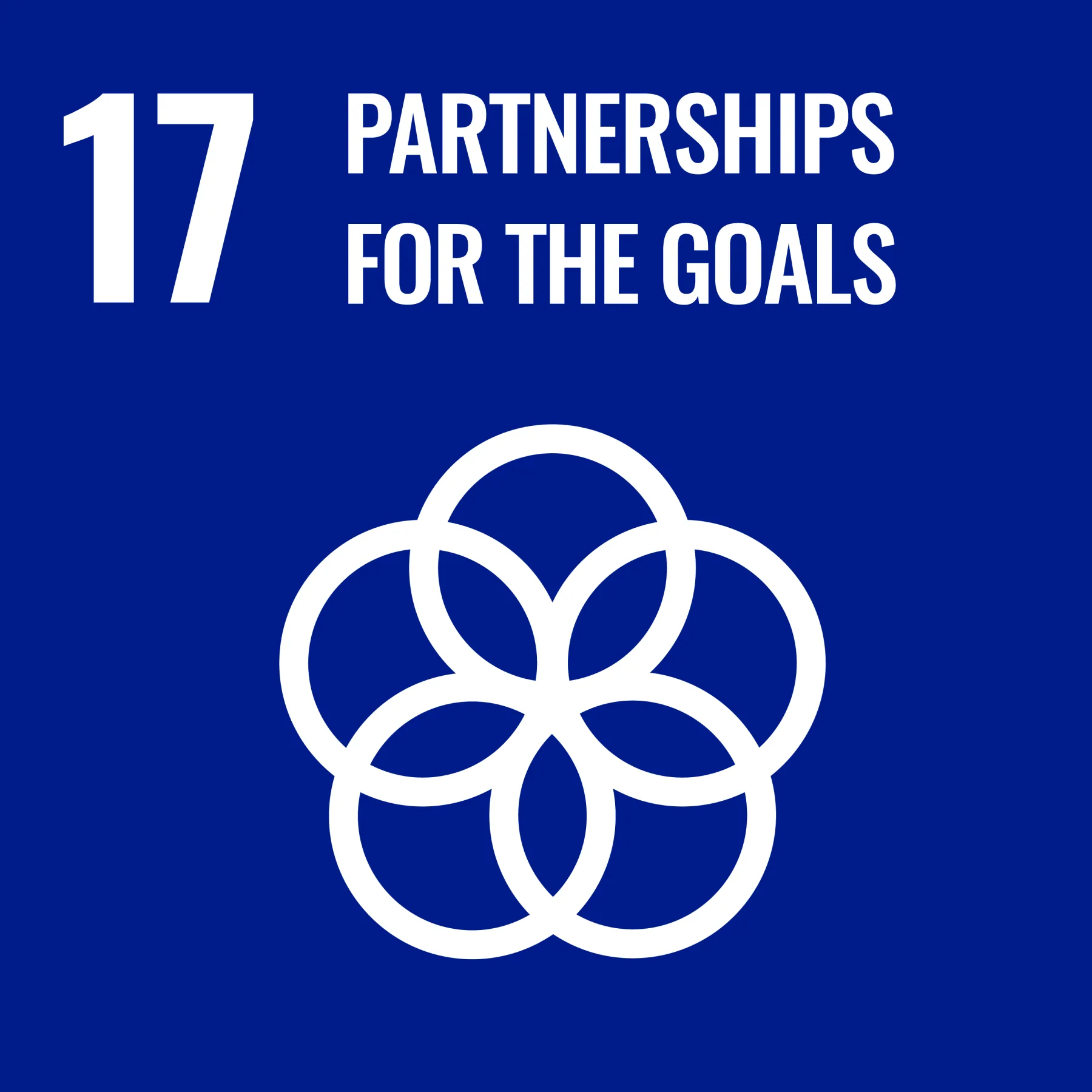 SDG 17: Partnerships For The Goals